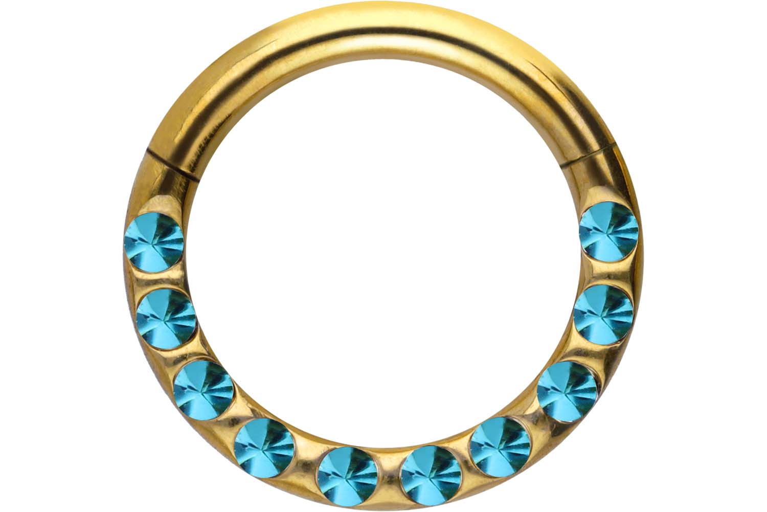 Chirurgenstahl Segmentring Clicker Piercing KRISTALLE + EPOXY ++SALE++